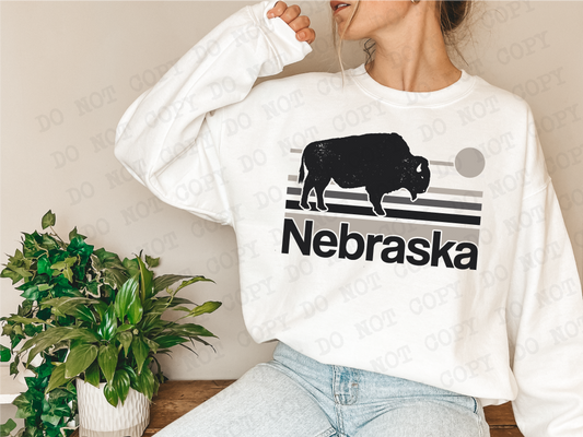 Nebraska Home Tee Neutral png, Nebraska Digital Design